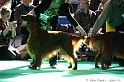 Crufts2011 549